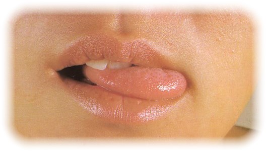 風俗に行って人生を変える,風俗嬢,攻略法,ソープランド,デリヘル